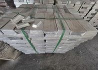 Silver White Aluminum Magnesium Alloy Ingot A356.2 A7 99.7% 99.999%
